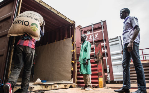 Freight Forwarding